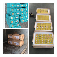 Winston and GBS 100Ah Batteries to Cyprus