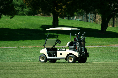 lithium golf cart battery