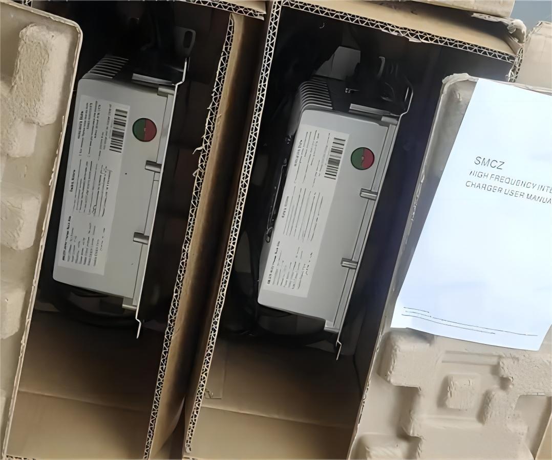 2pcs 2KW On Board Charger were shipped to Sweden