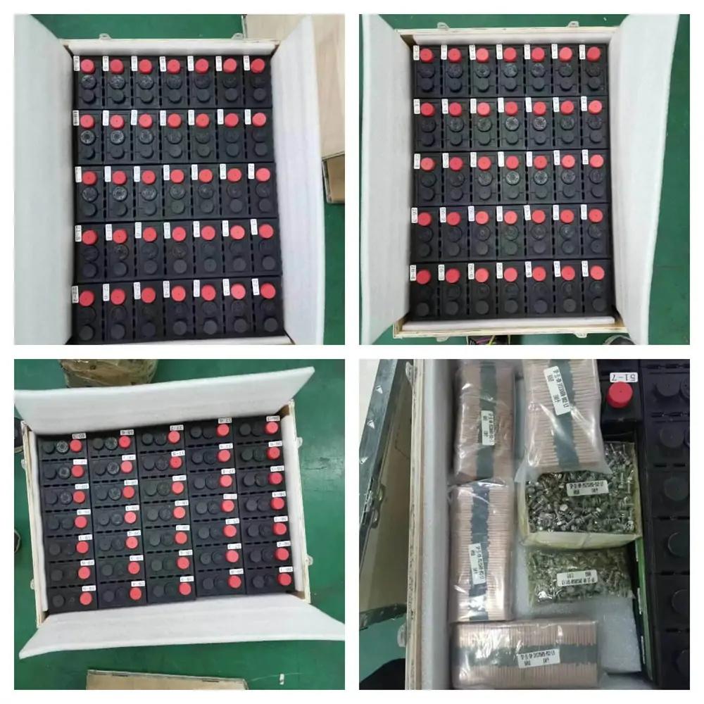 408pcs Sinopoly Battery 3.2V 60Ah delivered to Miami, USA