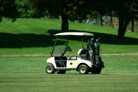 What maintenance is required for the lithium batteries in your golf carts?