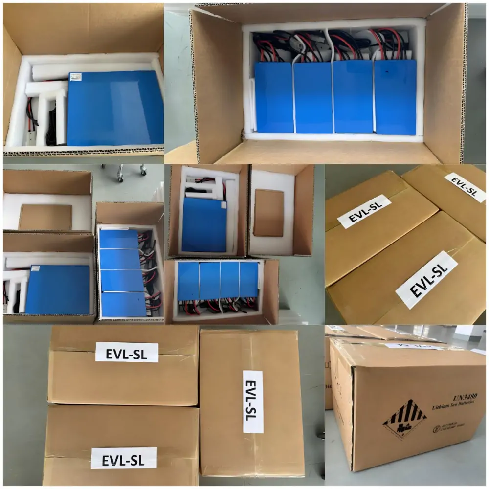 packing of Customized 5 designs of 12V lithium battery packs and charger