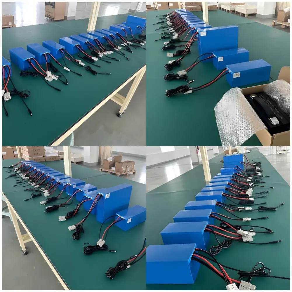 Customized 5 designs of 12V lithium battery packs and charger