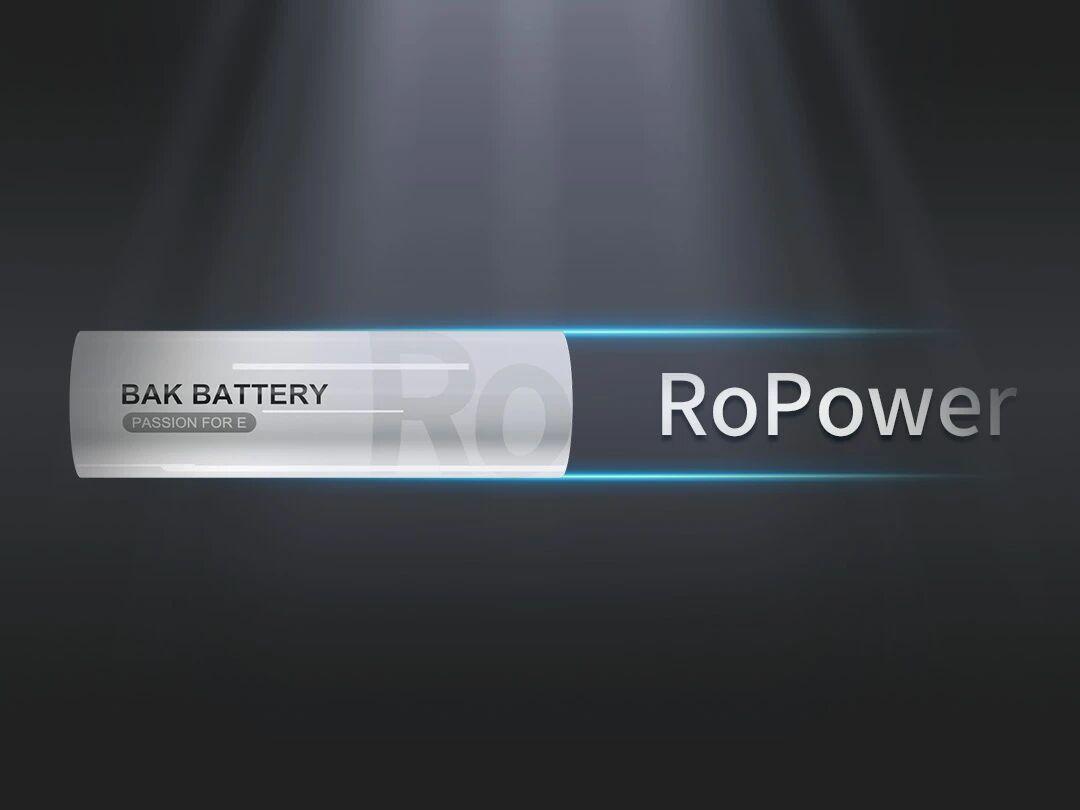 BAK’s RoPower Battery Platform Powers the Next Wave of Humanoid Robotics